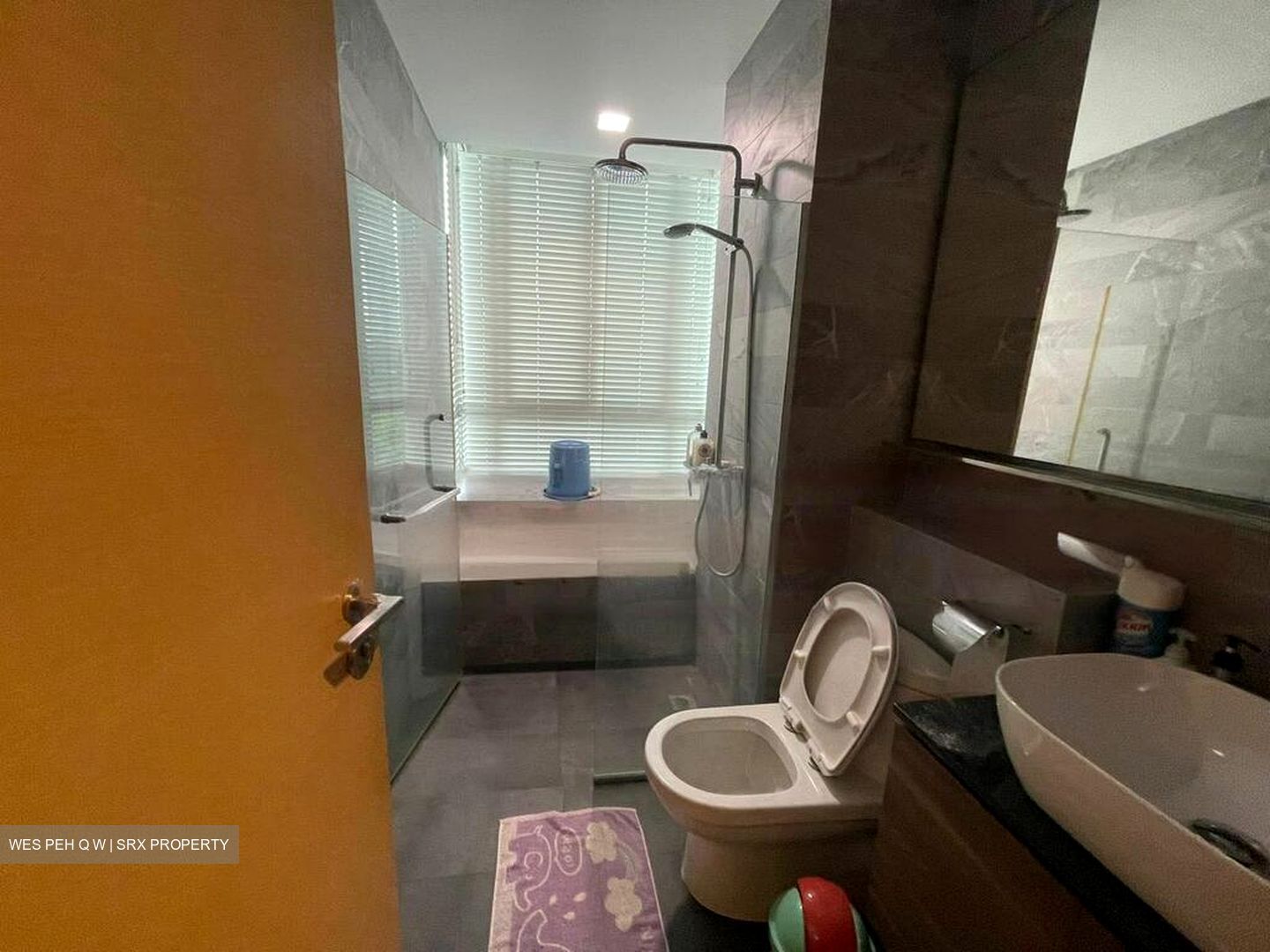 RiverGate (D9), Apartment #550685701